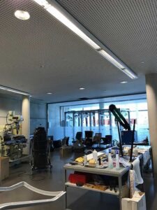 practicas-profesionales-alumni-college