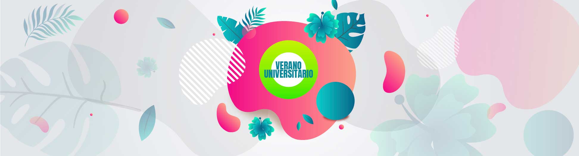 verano-universitario