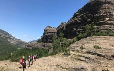 PASO DE LOS PIRINEOS (PALLEROLS)