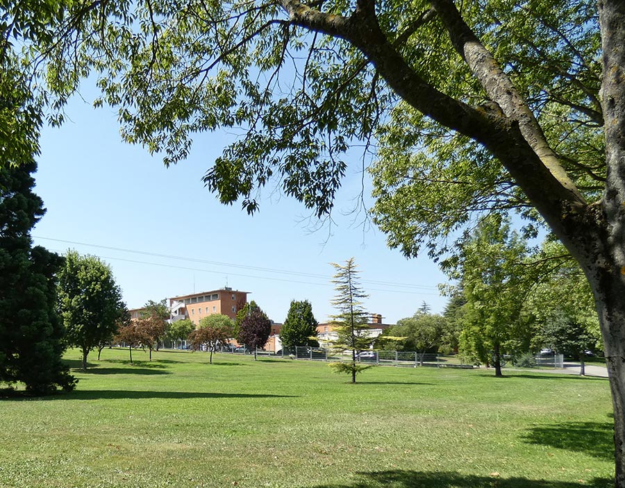 Instalaciones Colegio Mayor Goroabe