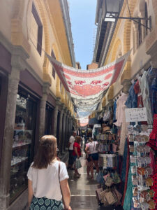 Encuentros universitarios alumni college 02